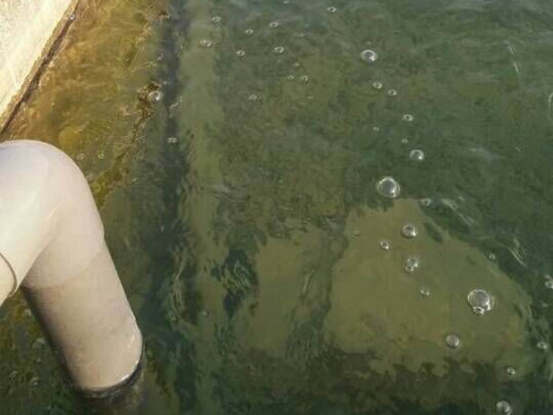 泰安市污水處理順利進行