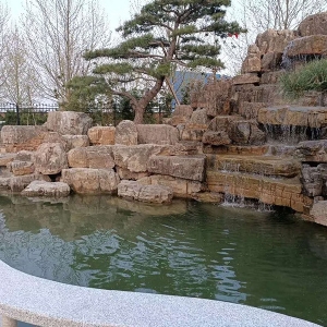 高 檔小區(qū)大型魚(yú)池凈化系統(tǒng)