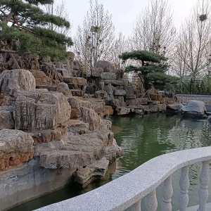 高 檔小區(qū)大型魚(yú)池凈化系統(tǒng)