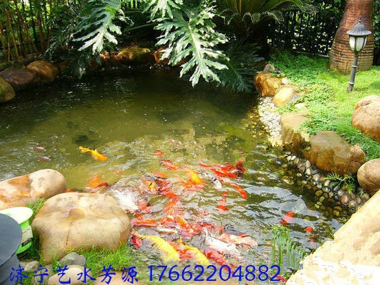 你知道別墅魚池水處理設(shè)備的有什么優(yōu)勢？