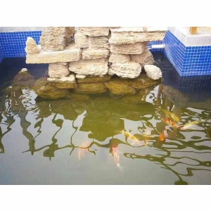 全自動(dòng)循環(huán)水設(shè)備