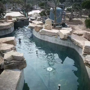 魚池過濾器客戶實地效果展示